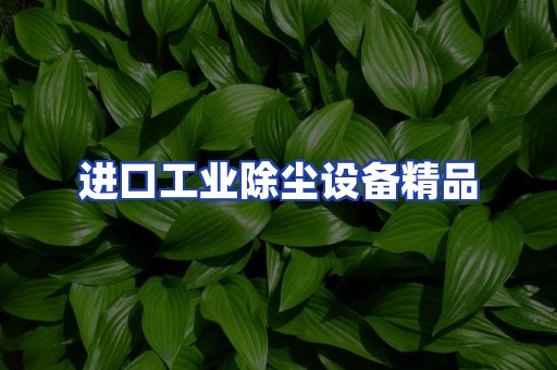进口除尘设备